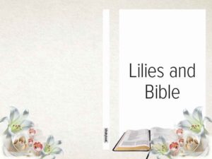Lilies and Bible
